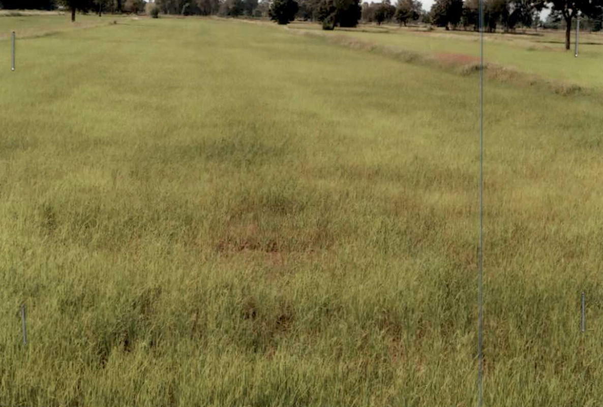 Residential land/lot Buri Ram Chamni Mueang Yang 390000