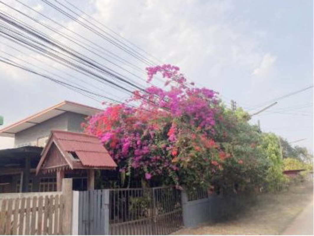 บ้านเดี่ยว มหาสารคาม โกสุมพิสัย ดอนกลาง 842450