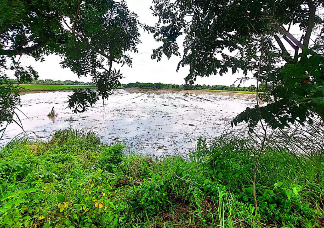 Residential land/lot Chachoengsao Ratchasan Bang Kha 2722916