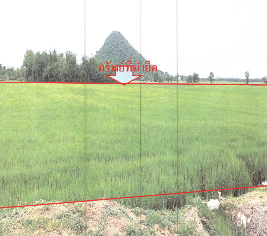 Residential land/lot Suphan Buri Doem Bang Nang Buat Hua Khao 604770