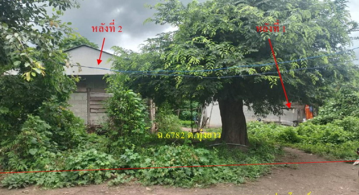 Single house Mae Hong Son Pai Thung Yao 668355