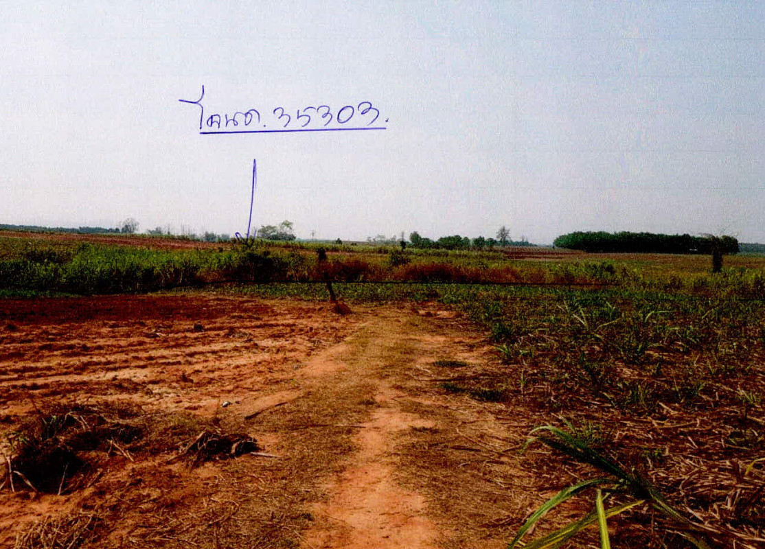 ที่ดินเปล่า เลย วังสะพุง โคกขมิ้น 333000