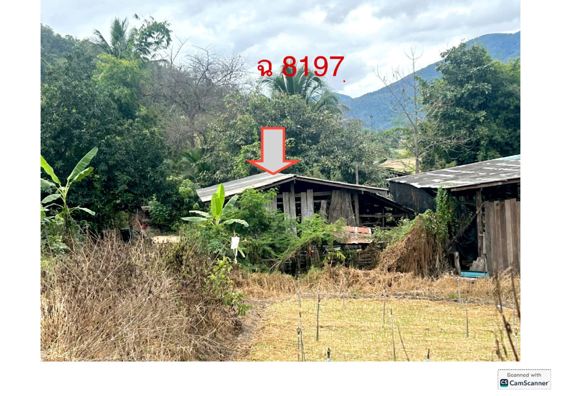 Single house Mae Hong Son Pai Mueang Paeng 57500