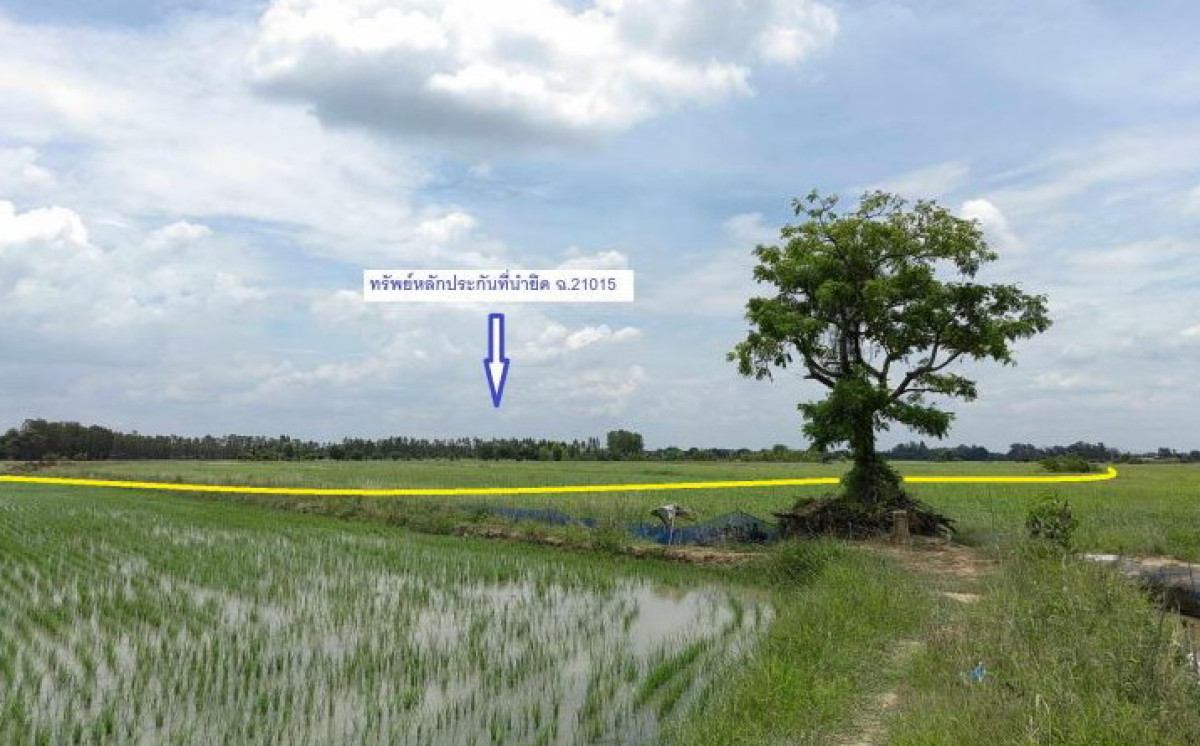 ที่ดินเปล่า สิงห์บุรี อินทร์บุรี ท่างาม 330000