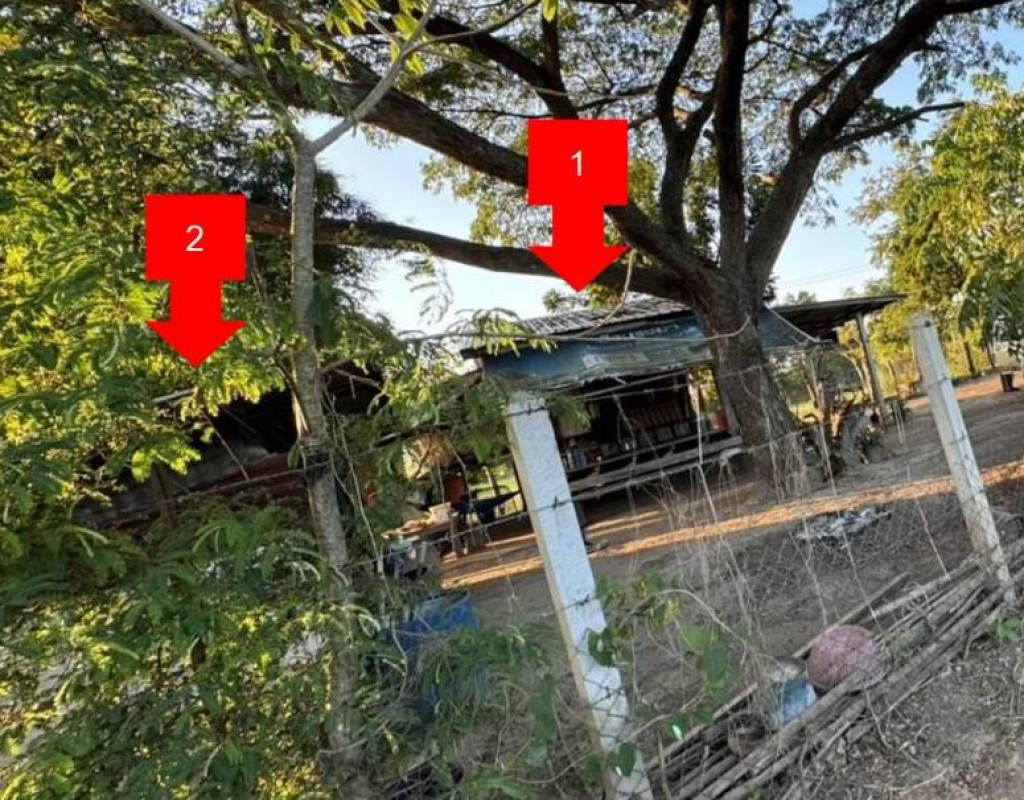 บ้านเดี่ยว อุดรธานี เมืองอุดรธานี เชียงยืน 1321680