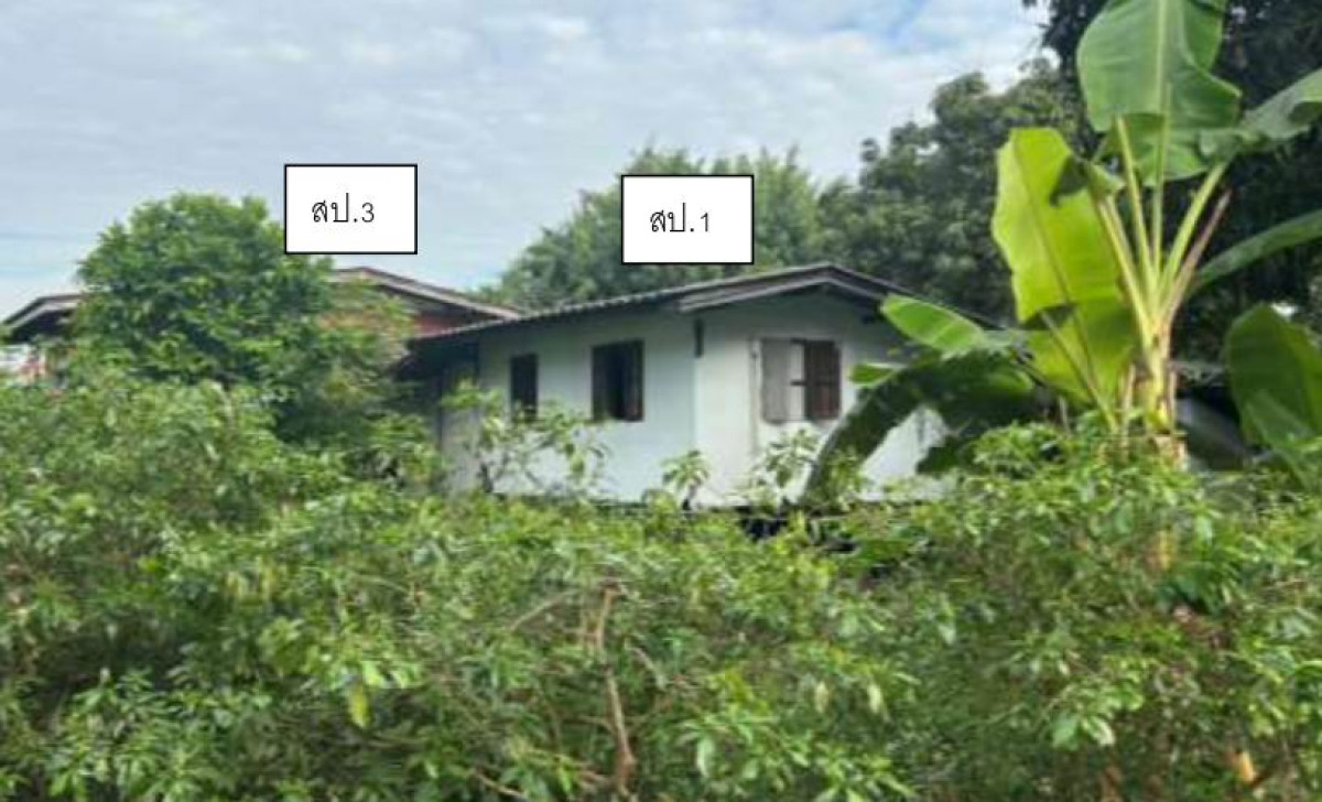บ้านเดี่ยว นนทบุรี บางใหญ่ บางแม่นาง 3364200