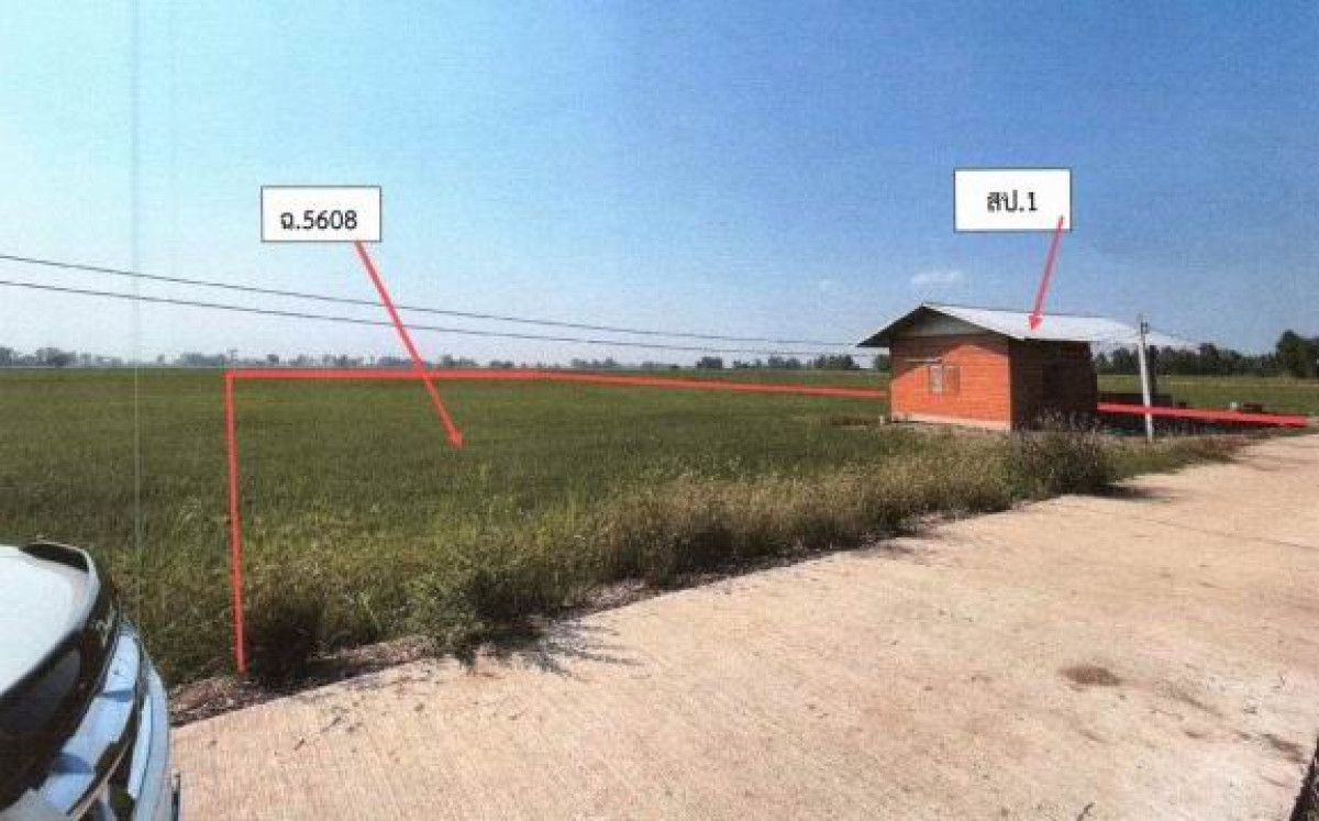 บ้านเดี่ยว พิจิตร โพธิ์ประทับช้าง ไผ่ท่าโพ 937215