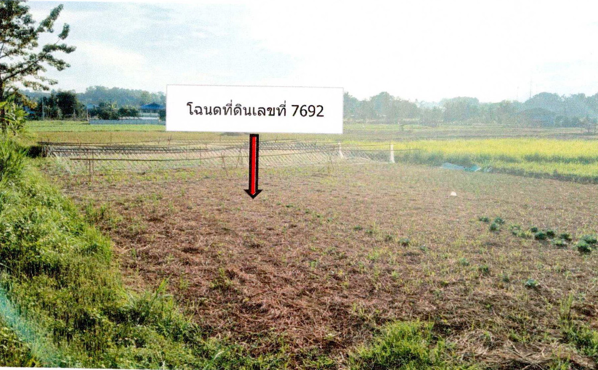 ที่ดินเปล่า น่าน ปัว วรนคร 58363