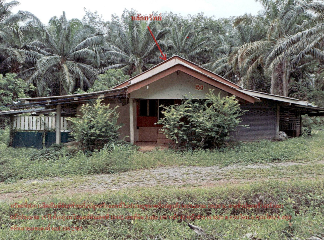 Single house Satun Khuan Don Khuan Don 1262760