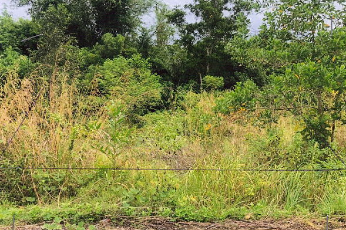 Residential land/lot Krabi Nuea Khlong Khlong Khanan 27375