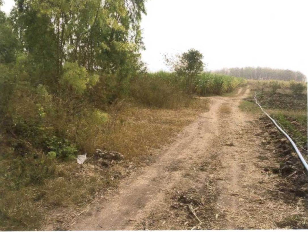 ที่ดินเปล่า สุพรรณบุรี อู่ทอง พลับพลาไชย 847600
