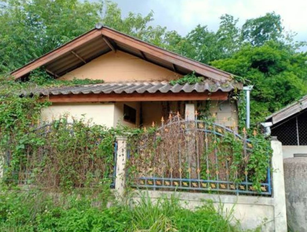 บ้านเดี่ยว เชียงราย พาน ทานตะวัน 749440