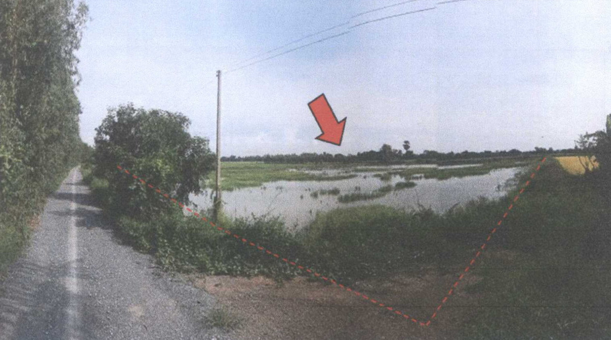 ที่ดินเปล่า สุพรรณบุรี บางปลาม้า สาลี 1489950