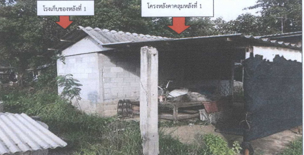 ทาวน์เฮ้าส์ สุพรรณบุรี บางปลาม้า สาลี 580575