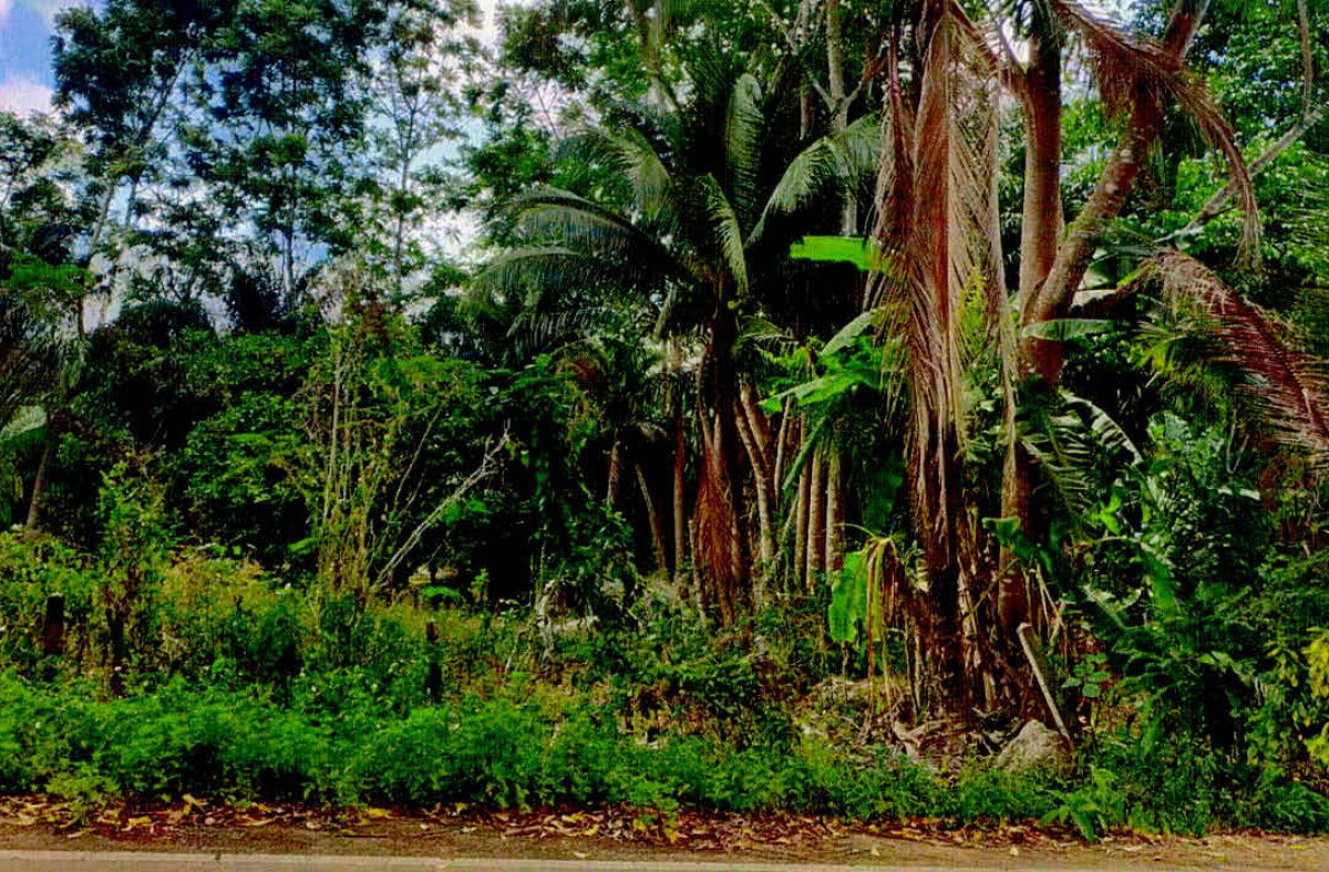 Residential land/lot Krabi Nuea Khlong Pakasai 333000