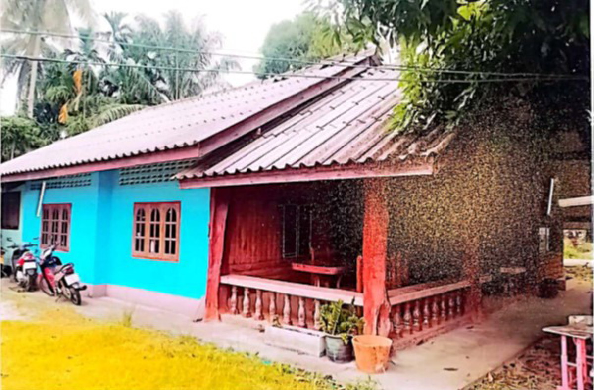 Single house Satun La-ngu Laem Son 997330