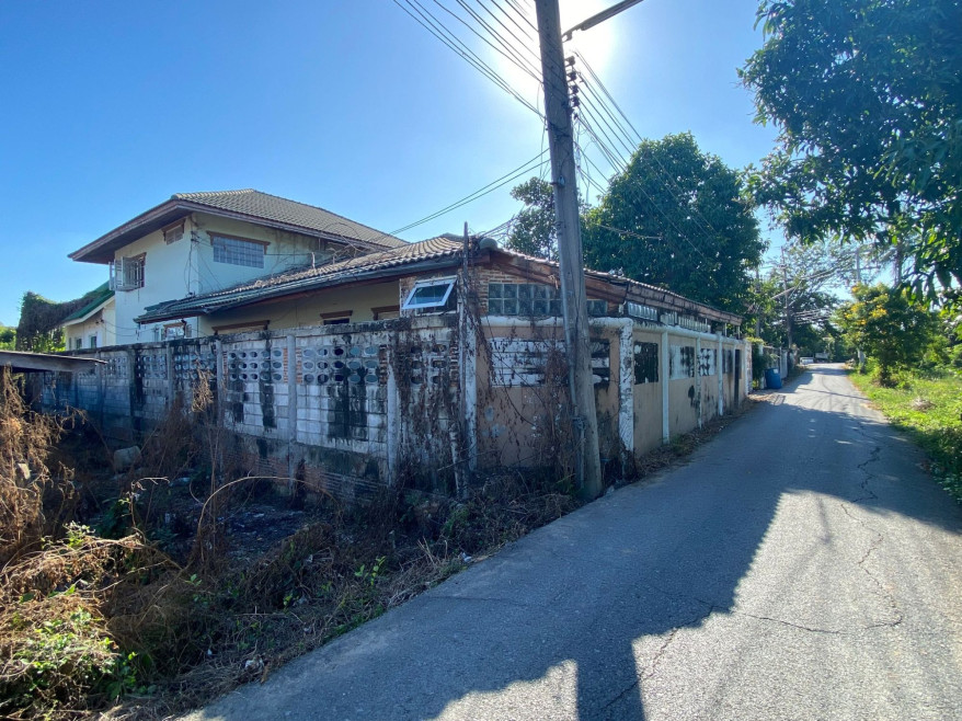 บ้านเดี่ยว บ้านพักอาศัย อ่างทอง อ่างทอง ไชโย ราชสถิตย์ 3011000