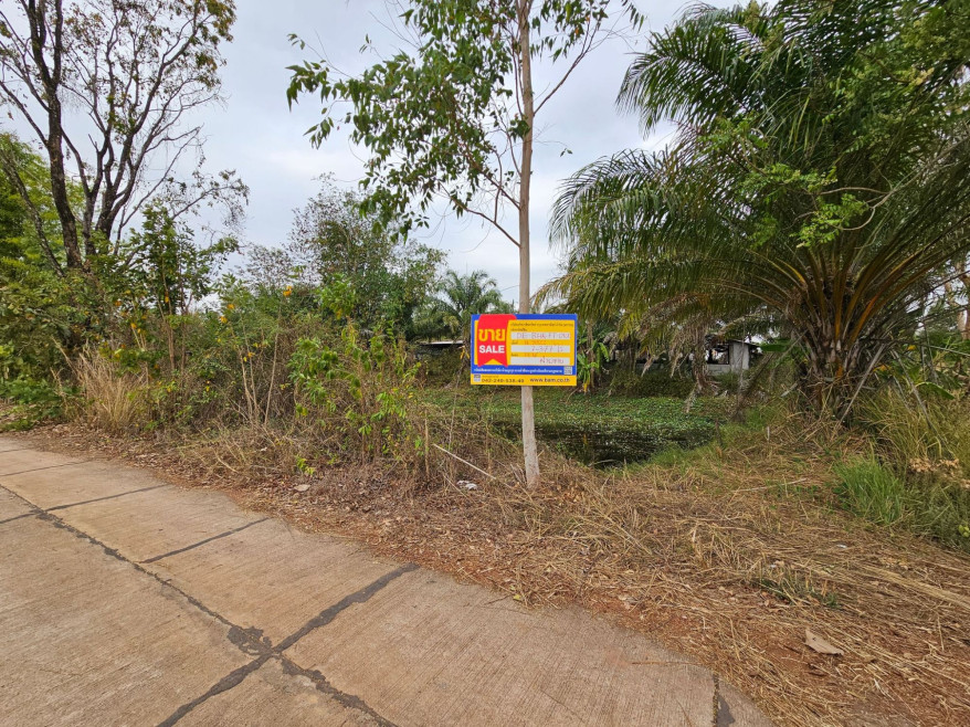 โรงงาน/โกดัง โรงงาน บึงกาฬ บึงกาฬ เซกา ซาง 1720000