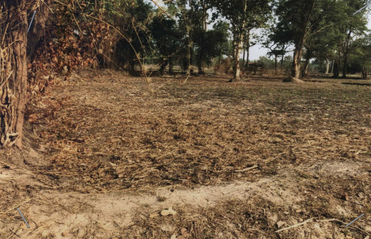 ที่ดินเปล่า อุบลราชธานี ตระการพืชผล ตระการ 531756