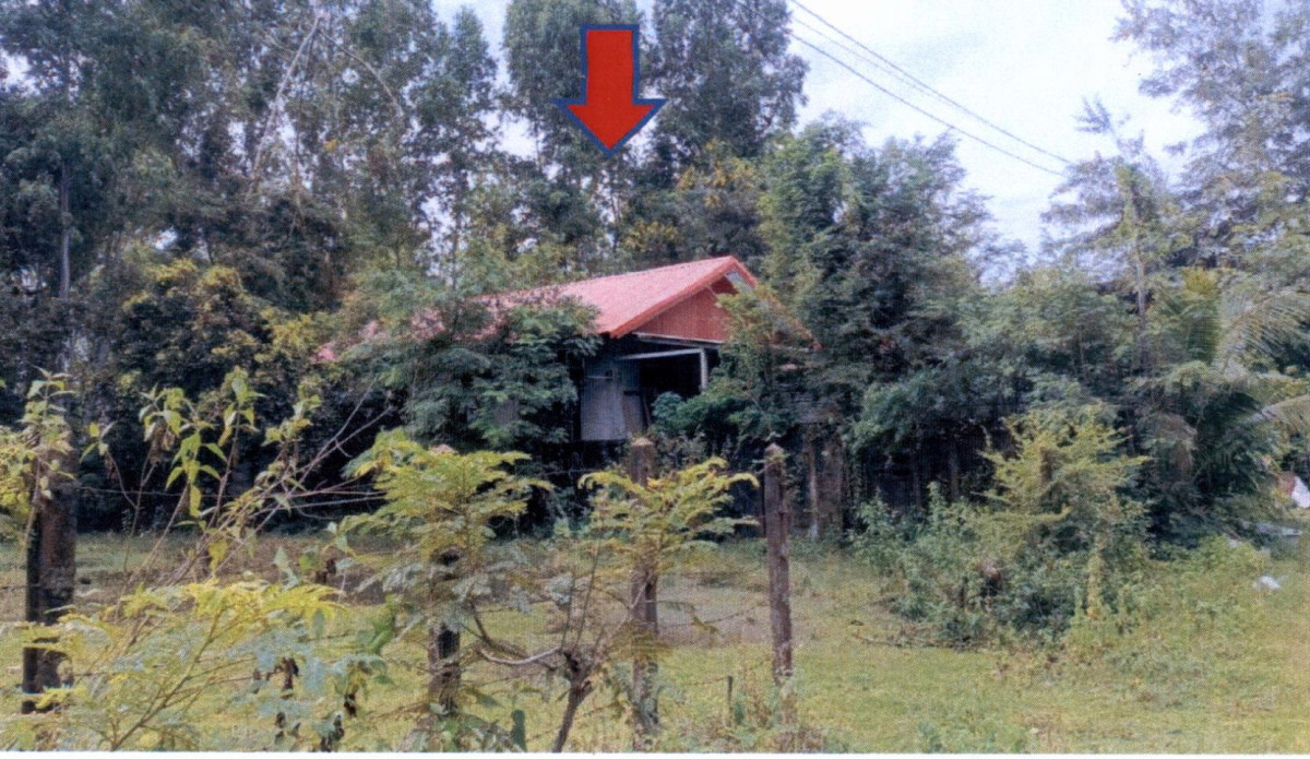 บ้านเดี่ยว อุบลราชธานี เมืองอุบลราชธานี ไร่น้อย 563304