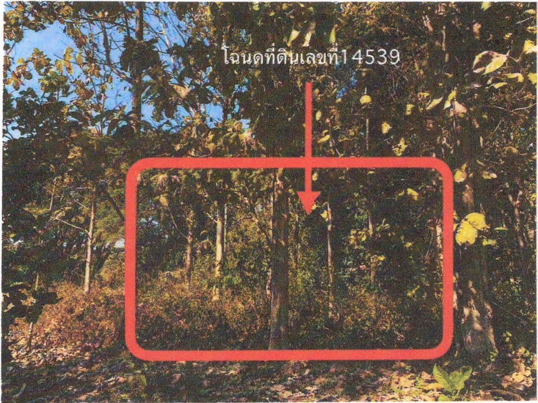 ที่ดินเปล่า น่าน นาน้อย สถาน 28800