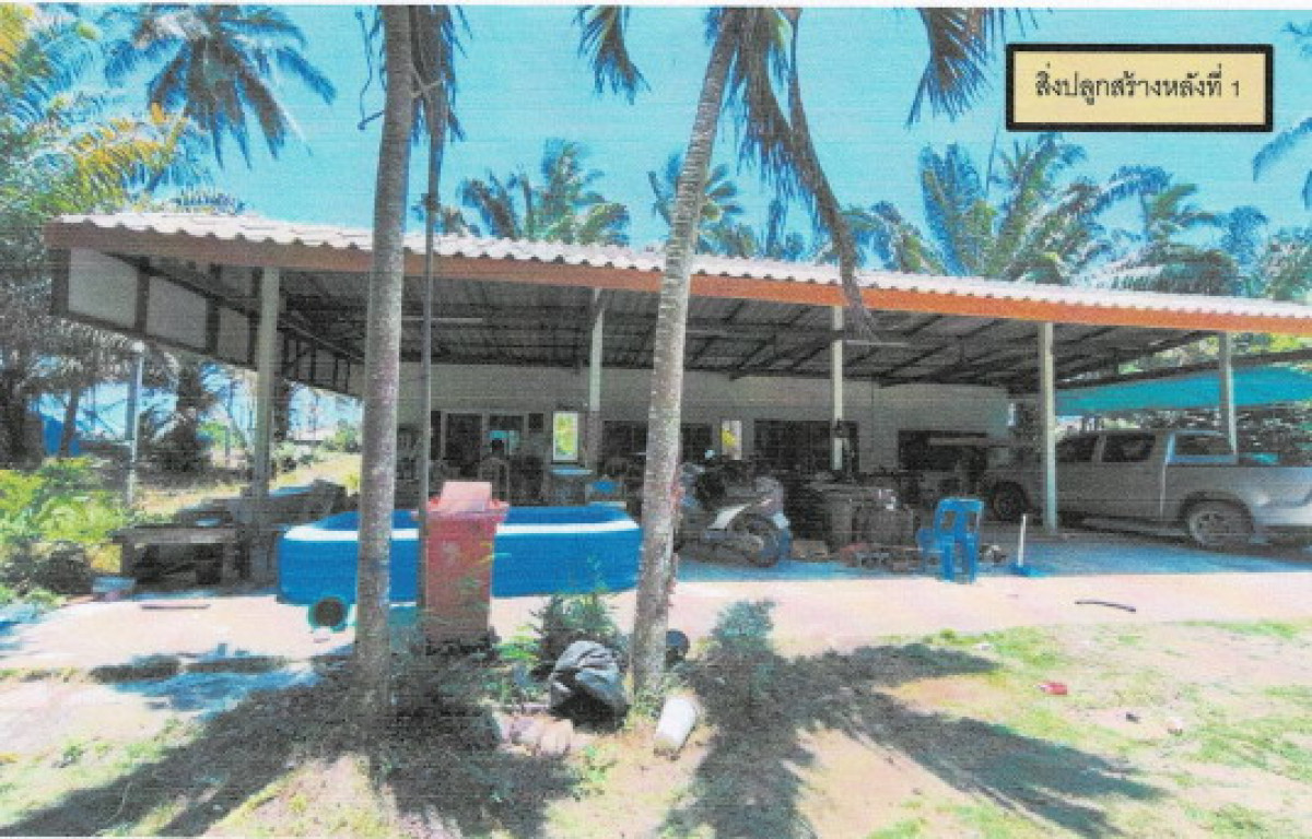 บ้านเดี่ยว นครศรีธรรมราช ท่าศาลา ท่าศาลา 4501545