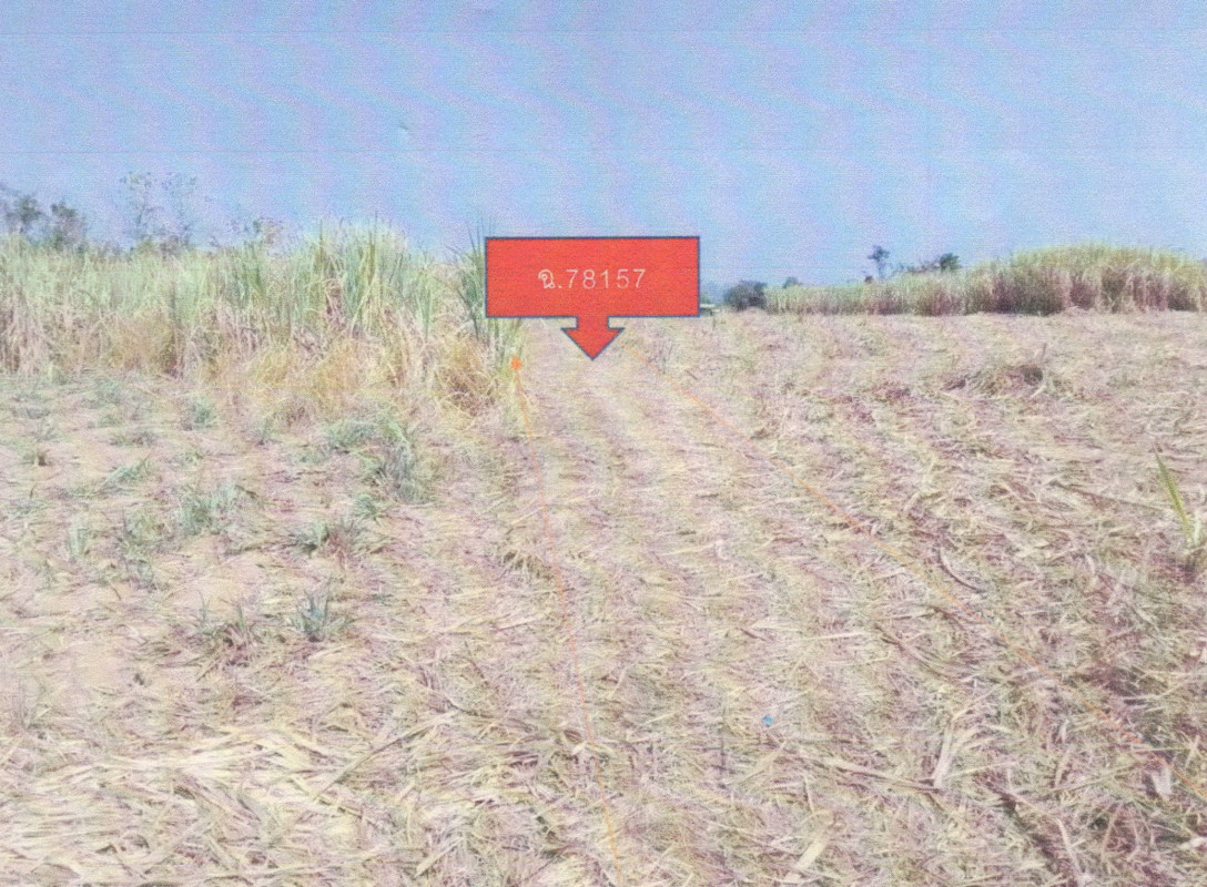 Residential land/lot Loei Mueang Loei Na Din Dam 160228
