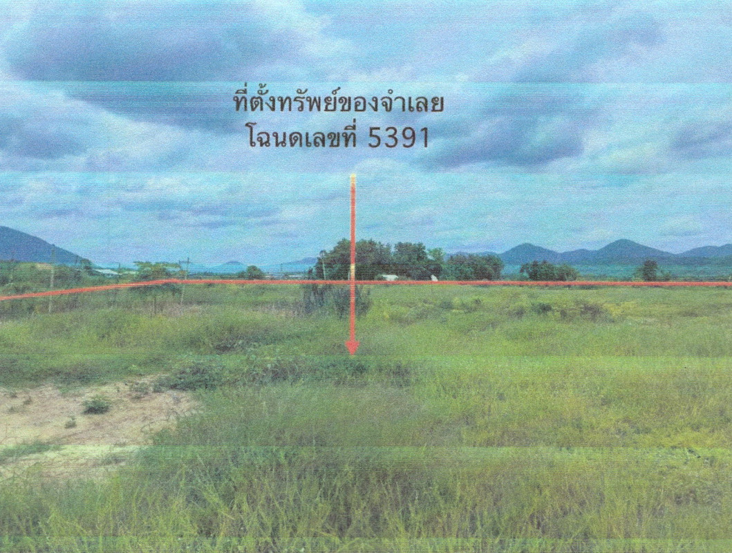 ที่ดินเปล่า เลย เมืองเลย นาอ้อ 853552