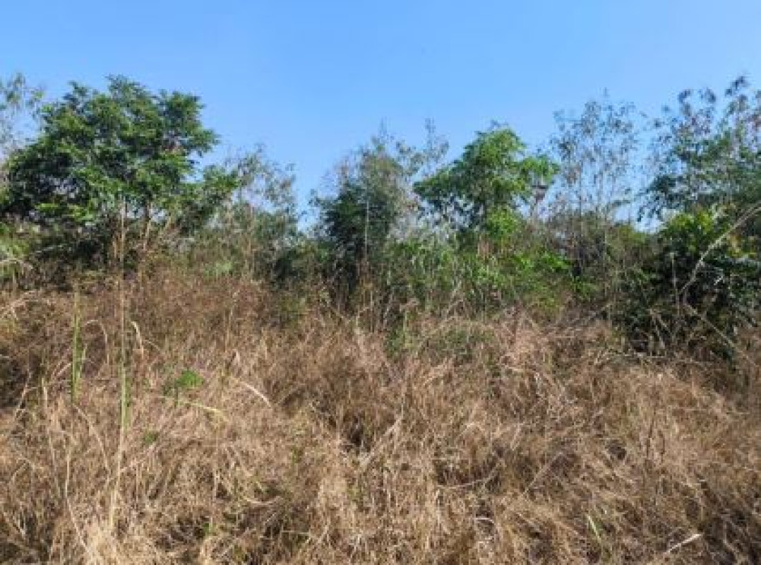 ที่ดินเปล่า สิงห์บุรี เมืองสิงห์บุรี บางมัญ 98000
