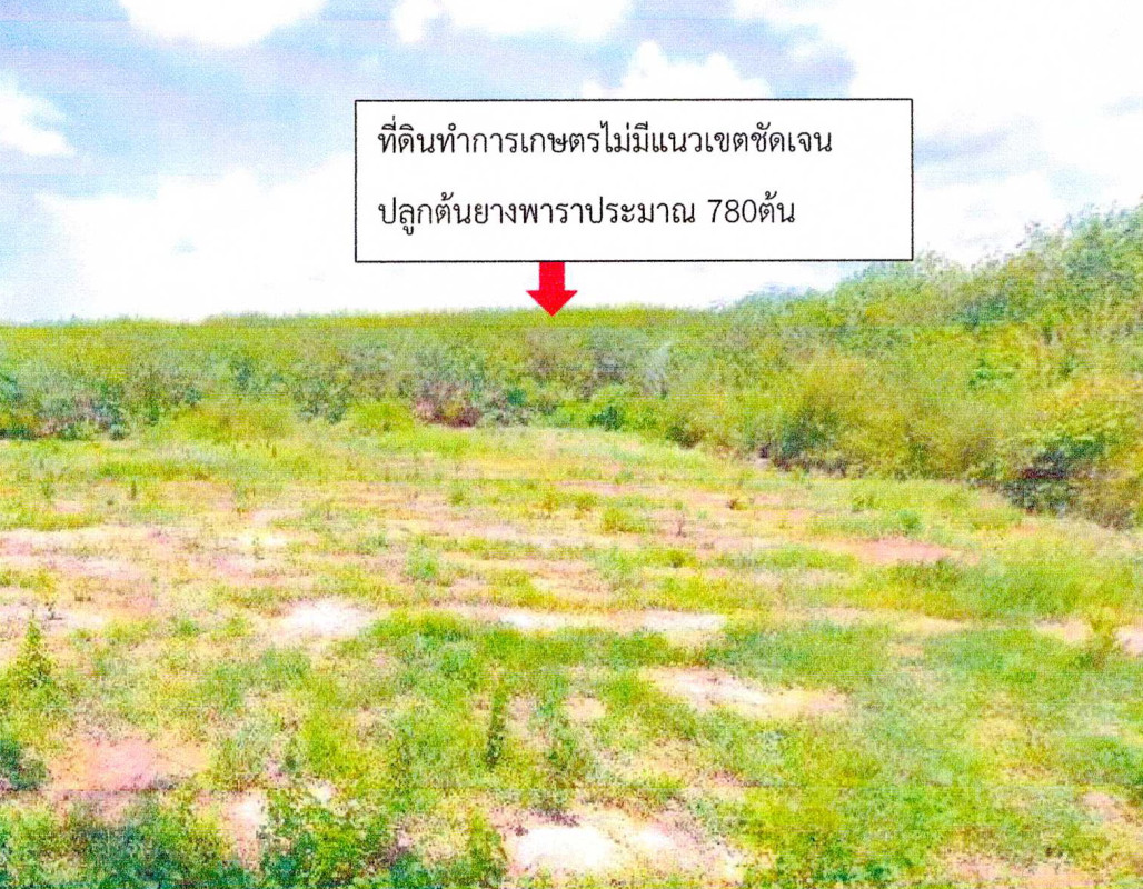 บ้านเดี่ยว บึงกาฬ บึงกาฬ โป่งเปือย 3352440