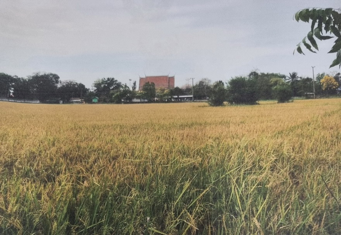 Residential land/lot Uthai Thani Mueang Uthai Thani Nong Phang Kha 656336