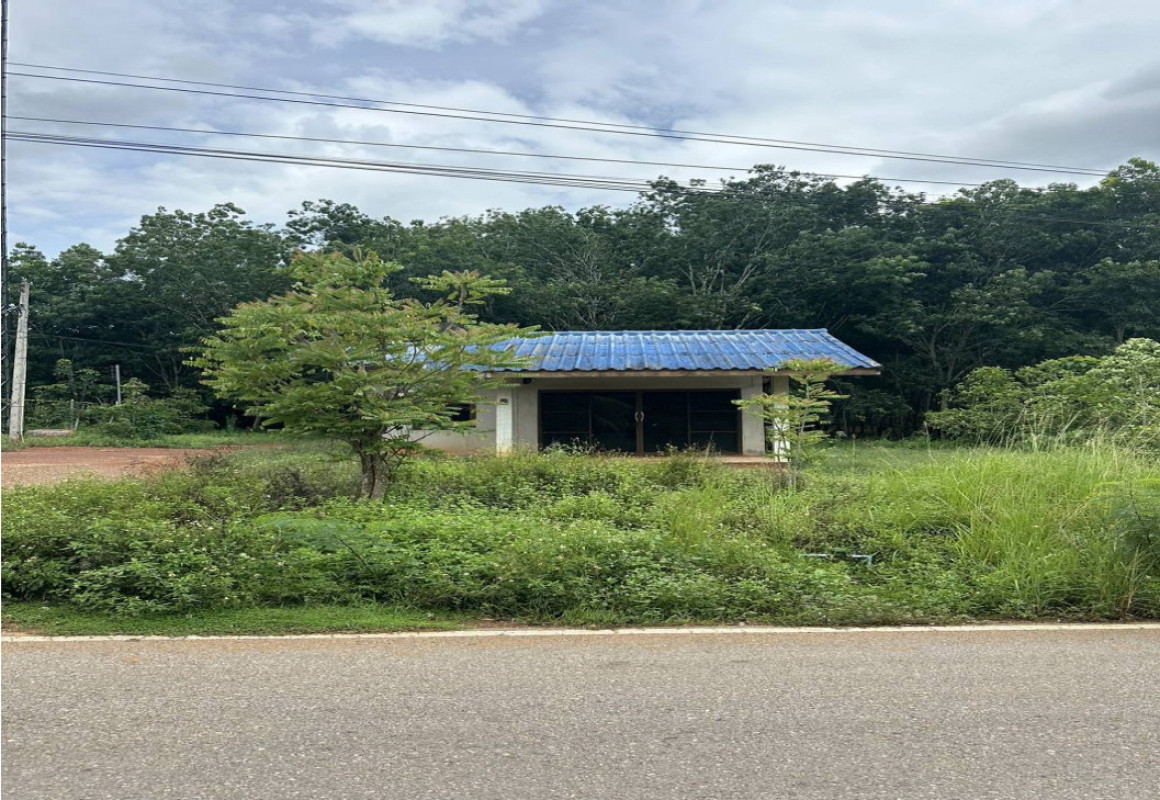 บ้านเดี่ยว สุราษฎร์ธานี พระแสง บางสวรรค์ 702189