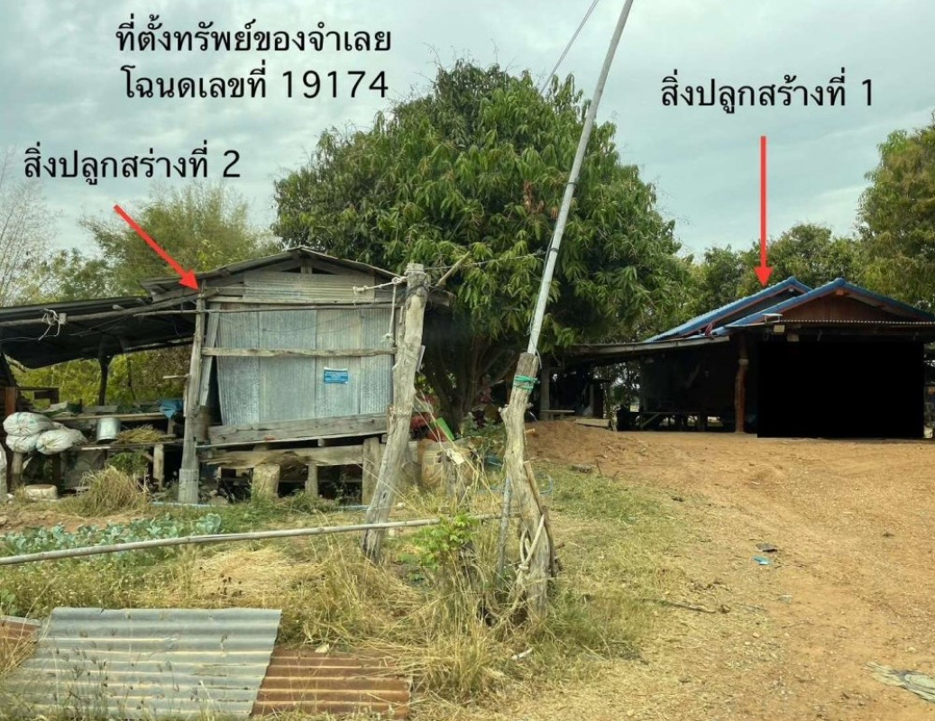 บ้านเดี่ยว ขอนแก่น มัญจาคีรี นาข่า 561918