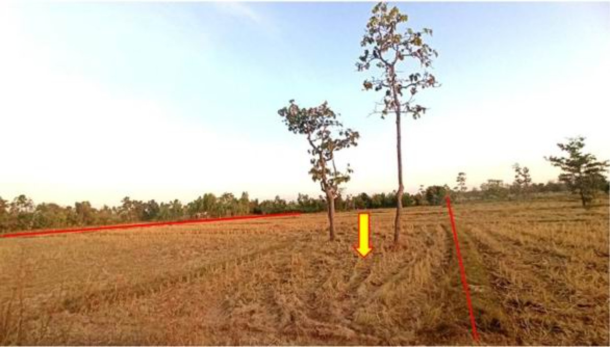 ที่ดินเปล่า นครพนม วังยาง วังยาง 218200