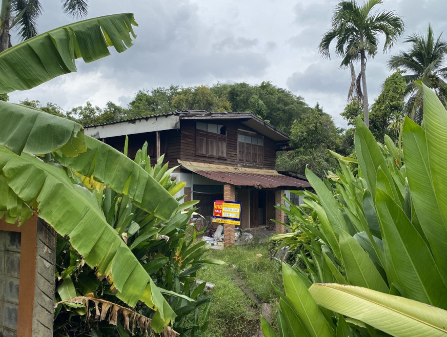 บ้านเดี่ยว บ้านเดี่ยว นครนายก นครนายก เมืองนครนายก วังกระโจม 3115000