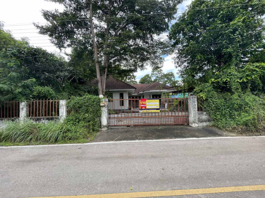 Single house Chiang Mai San Sai Nong Han 4388000