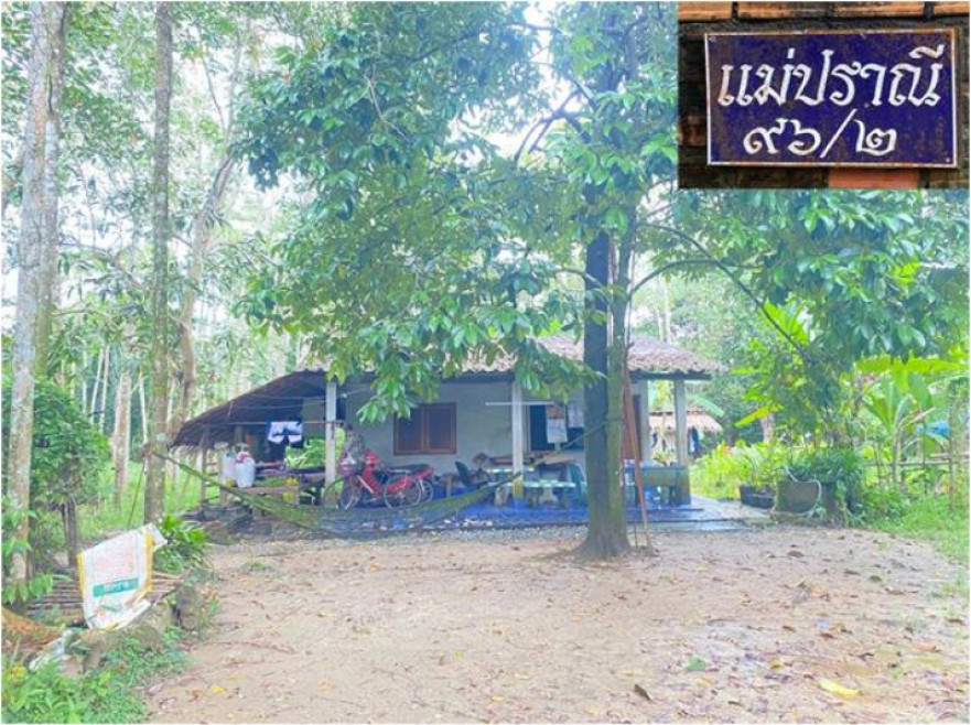 Single house Nakhon Si Thammarat Cha-uat Ko Khan 4628000