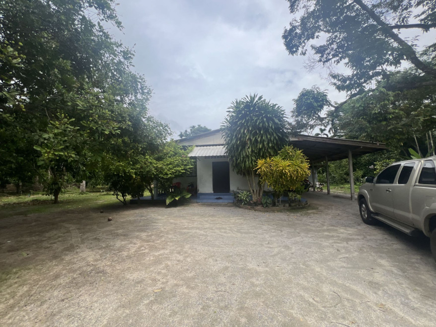Single house Nakhon Si Thammarat Tha Sala Hua Taphan 1525000