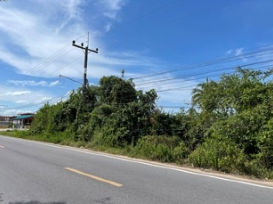 ที่ดินเปล่า สงขลา สิงหนคร วัดขนุน 3424700