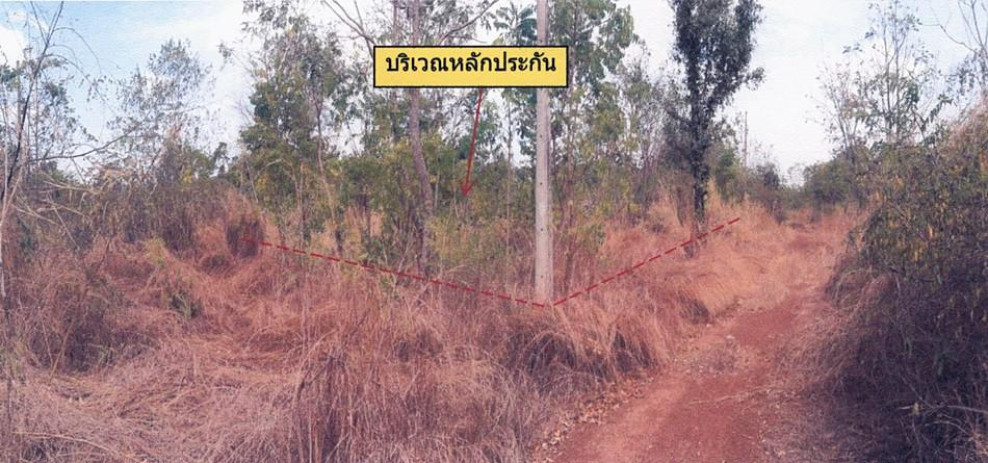 ที่ดินเปล่า เจ.อาร์.แลนด์ นครราชสีมา โชคชัย โชคชัย 0