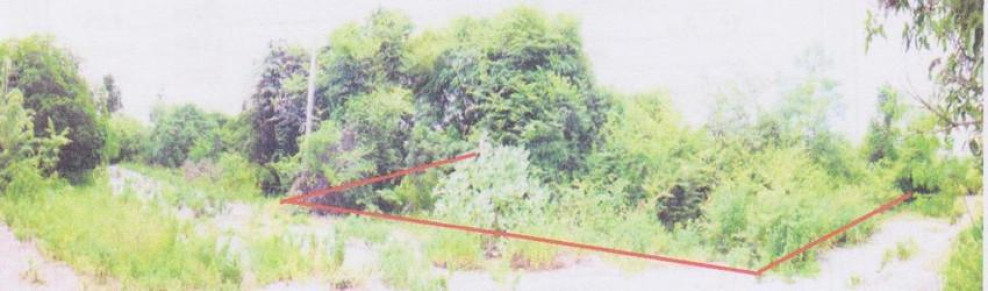 Residential land/lot Ratchaburi Chom Bueng Rang Bua 160000
