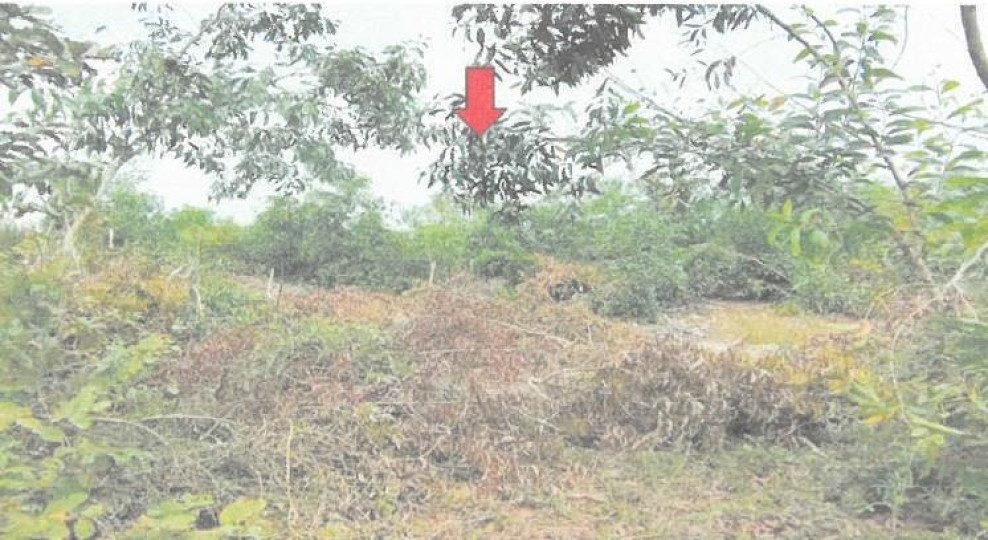 Residential land/lot Nakhon Pathom Bang Len Bua Pak Tha 815000