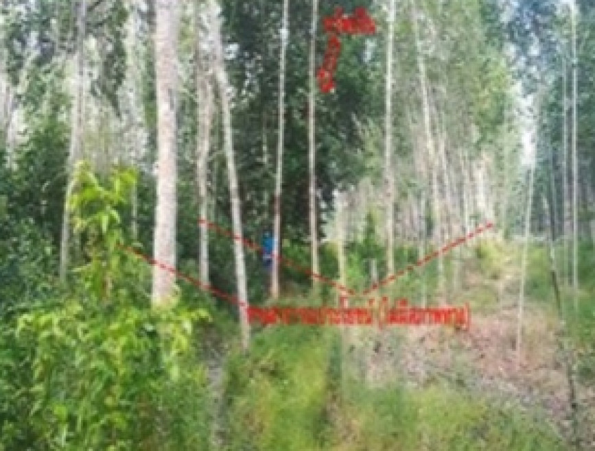 Residential land/lot Pattani Nong Chik Kholo Tanyong 310000