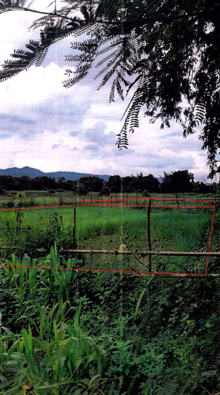 ที่ดินเปล่า ลำปาง แม่เมาะ จางเหนือ 22600