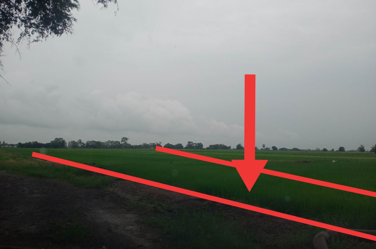 ที่ดินเปล่า สุโขทัย ศรีสำโรง สามเรือน 421148