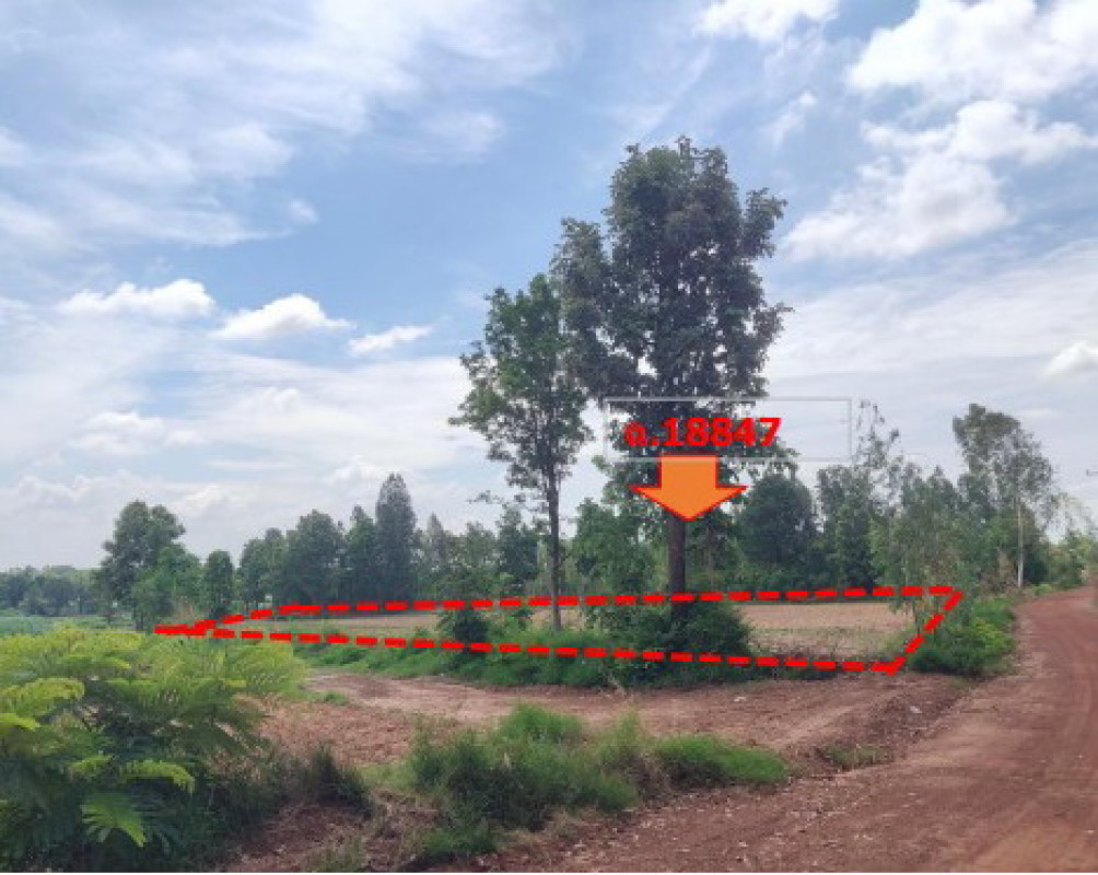ที่ดินเปล่า กาฬสินธุ์ หนองกุงศรี หนองกุงศรี 879000