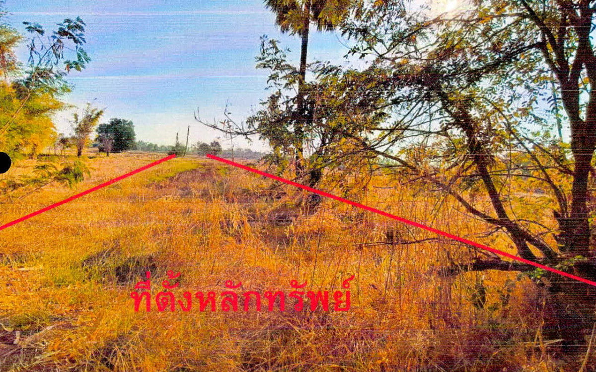 ที่ดินเปล่า ชัยภูมิ เมืองชัยภูมิ ชีลอง 134640