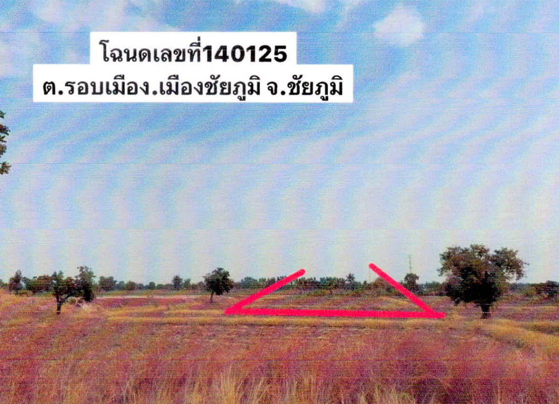 Residential land/lot Chaiyaphum Mueang Chaiyaphum Khok Sung 104000
