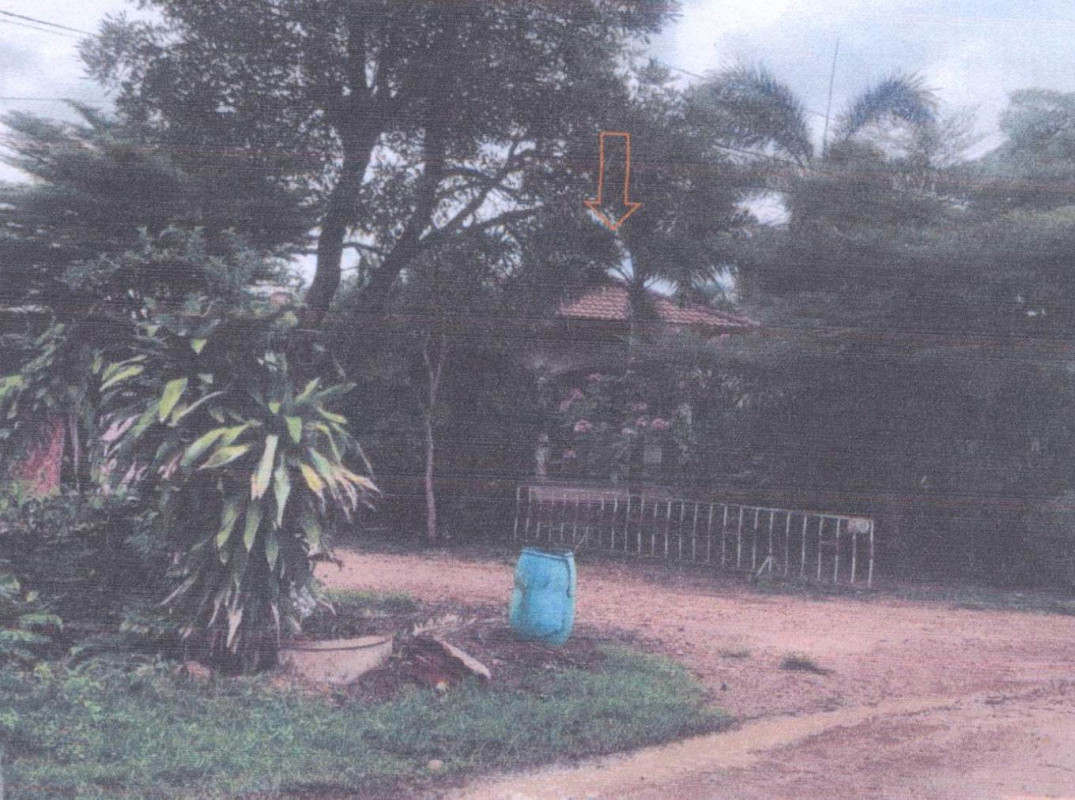 บ้านเดี่ยว ชัยภูมิ หนองบัวระเหว หนองบัวระเหว 796200
