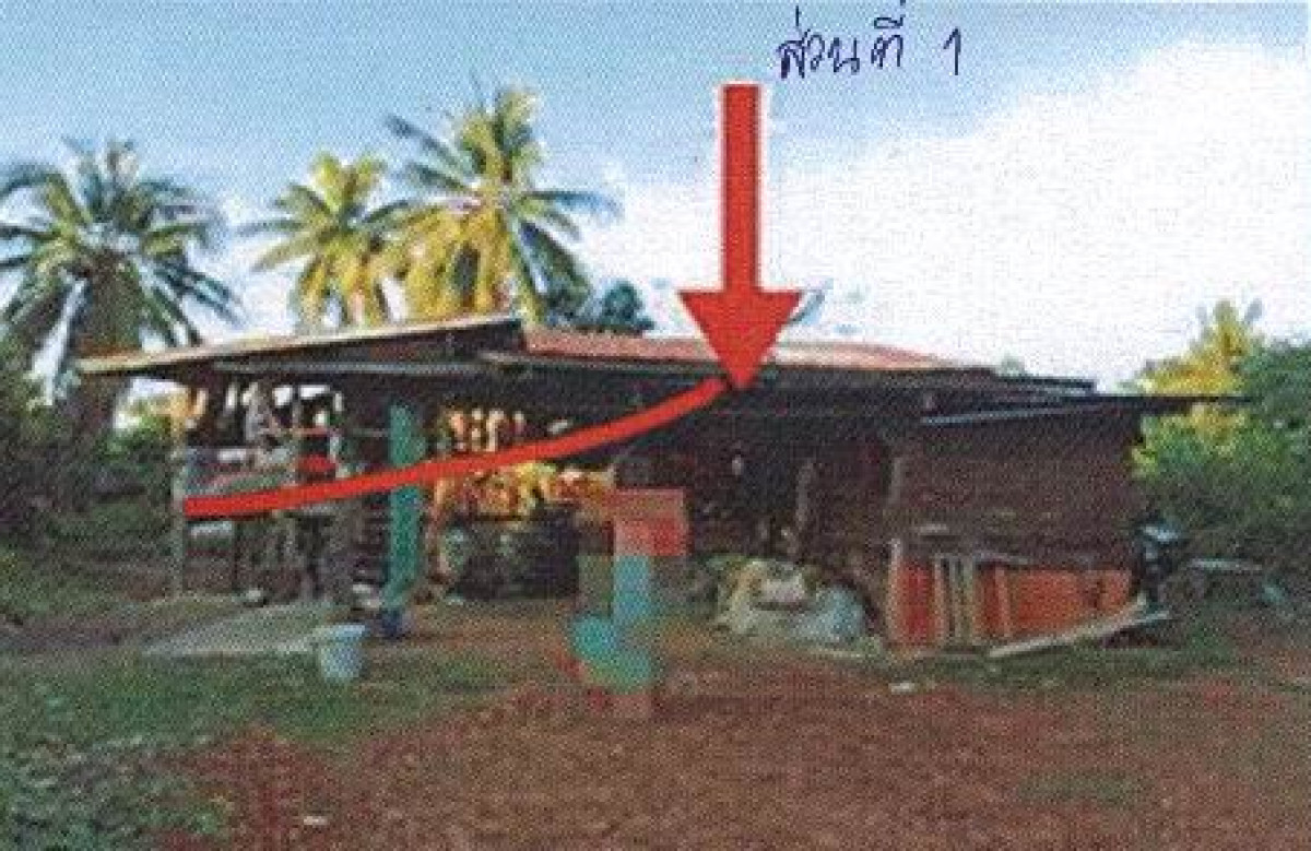 บ้านเดี่ยว สุโขทัย คีรีมาศ ทุ่งหลวง 318680